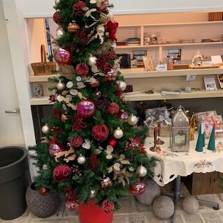 アルキペラゴ_2