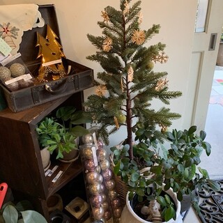 アルキペラゴ_0