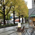 CAFE Elliott Avenue - 銀杏が美しい季節だよ。