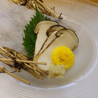 柳家錦 - 