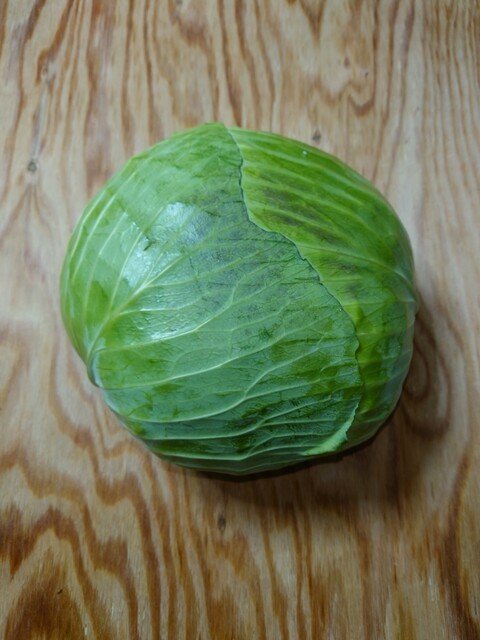 重松の家 - 秋田（その他）の写真