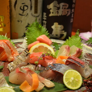 博多水炊き 海鮮 囲み屋 晴_2