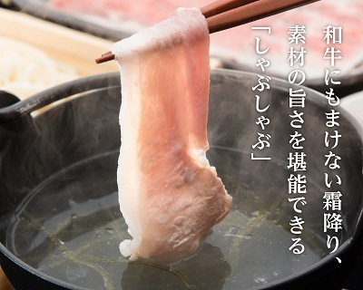 焼肉・しゃぶしゃぶ平田牧場 酒田店 - 東酒田（焼肉）の写真