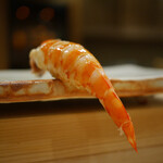 東麻布 天本 - 車海老