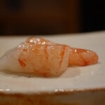 東麻布 天本 - 牡丹海老