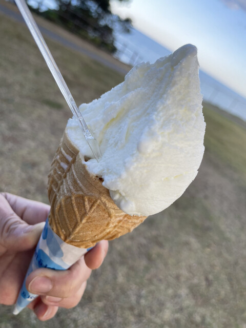 ウィンディーランド - 木戸（ジェラート・アイスクリーム）の写真