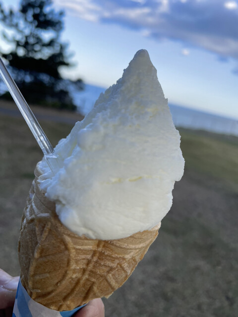 ウィンディーランド - 木戸（ジェラート・アイスクリーム）の写真