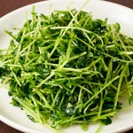 Stir-fried seasonal greens (salty or spicy with homemade XO sauce)