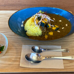 ロースター カフェ ペンギン堂 - カレーのランチ