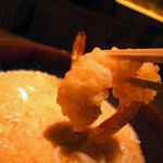 京うどん 生蕎麦 岡北 - エビアップ！！