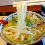 Marugame Seimen - 麺リフト