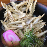 うどんの釜屋 - ごぼう天うどん   五九九円なり