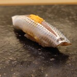 鮨 なんば - 小肌