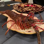 竜吟虎嘯 - 伊勢海老