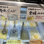 Ehime Kajitsu Kurabu Mikan No Ki - 愛媛県産の柑橘を使用したジェラート(*ˊ˘ˋ*)｡♪:*°