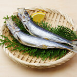 Sardines from Murotsu