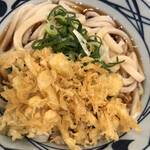 Marugame Seimen - 