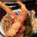 のらや - 【2012/12 再訪】 きつねうどんとミニ天丼　980円