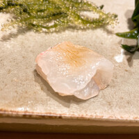 不動前 すし 岩澤 - 