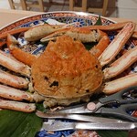 かに愛知屋 - 時価¥？0000円相当のズワイガニ