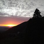 さかなどころ ともさき - 