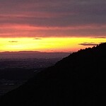 さかなどころ ともさき - 