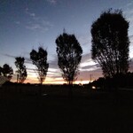 さかなどころ ともさき - 