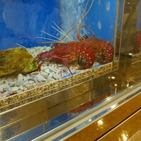 中納言 大阪駅前第3ビル店 - 