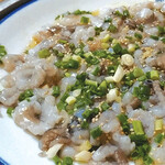 Sanonakuchi (长尾章鱼)