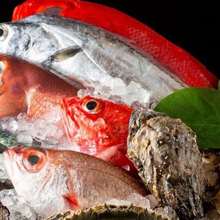 地元の旬魚を！粋で洗練された味わい
