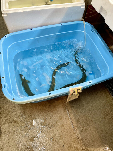 秋田市民市場 - 秋田（その他）の写真