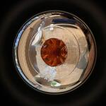 えん - ドリンク