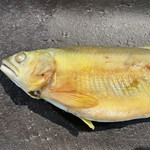 A e B - 鮎のコンフィ