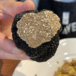 A e B - ハンガリー産サマートリュフ