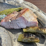 A e B - ヌートリア