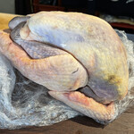 A e B - ほろほろ鳥