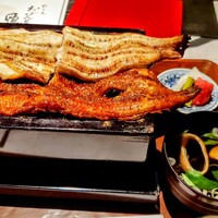 にょろ助 銀座 - 