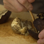 ペレグリーノ - 