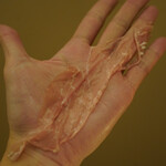 ペレグリーノ - 