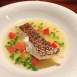 蒼 - 鯛のアクアパッツァ仕立て