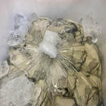 とんかつ一幸 - ※ こちらの写真は、一幸さんから頂きました