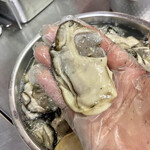 とんかつ一幸 - ※ こちらの写真は、一幸さんから頂きました