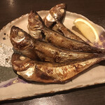 Shitamachi Sakaba Kiraku - 鹽烤鱸魚