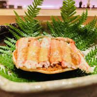 小熊 - 背子蟹