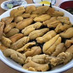 旅路 - 生うにアップ