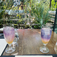 TRATTORIA CREATTA - 