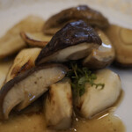 ペレグリーノ - 