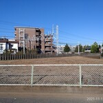 ガリレオ 八兵衛 - コスモス畑が....