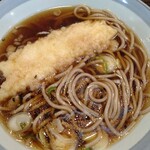 ガリレオ 八兵衛 - これで普通サイズ？