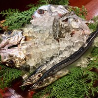 魚めし 竹亭 - 一番上から時計回りに、
                    イトヒキアジ、メダイ、秋刀魚、メアジ